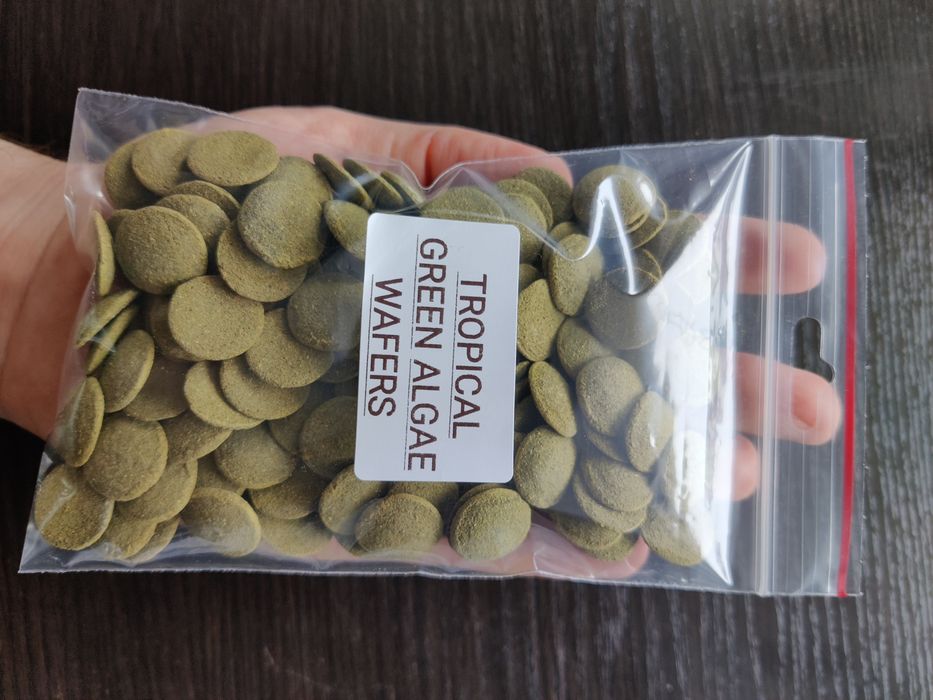 Tropical Green Algae Wafers pokarm dla zbrojników