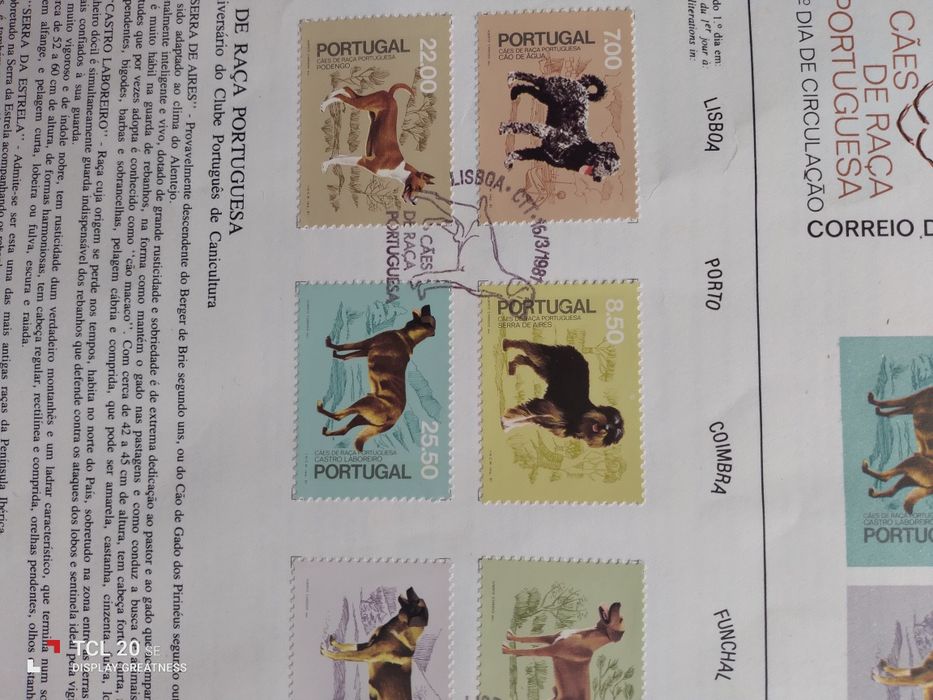 Filatelia - cães de raça portuguesa
