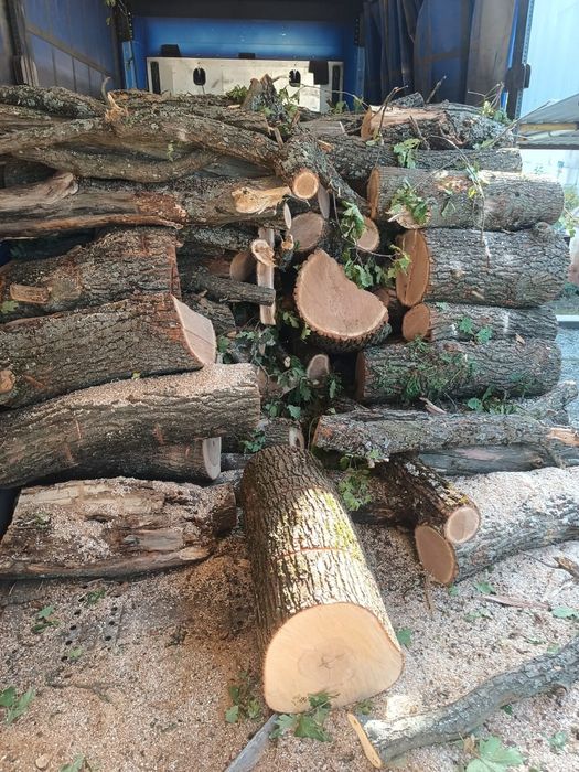 Дрова твердых пород