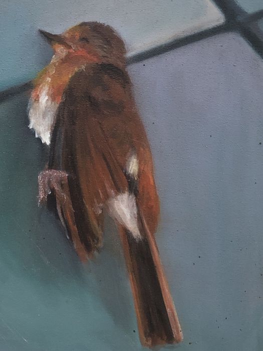 Obraz olejny "Rudzik" 30x40cm