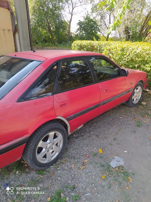 Бодрая лошадка ждёт нового хазяина