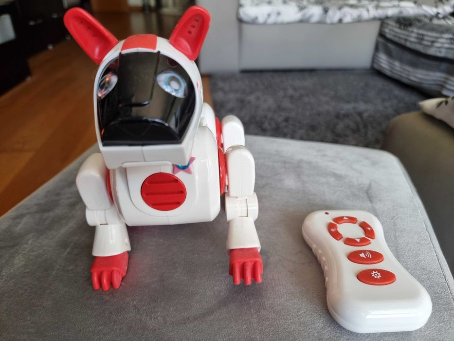 Cão "Inteligente" com comando infravermelhos