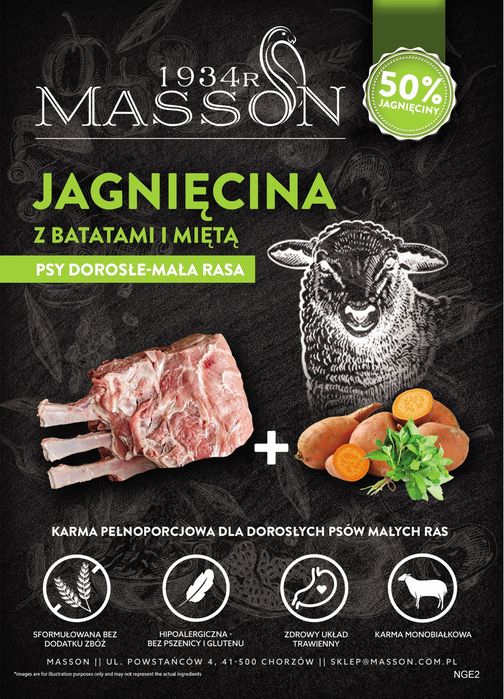 Karma Monoproteinowa Dla Dorosłych Psów Małych Ras 2kg Masson