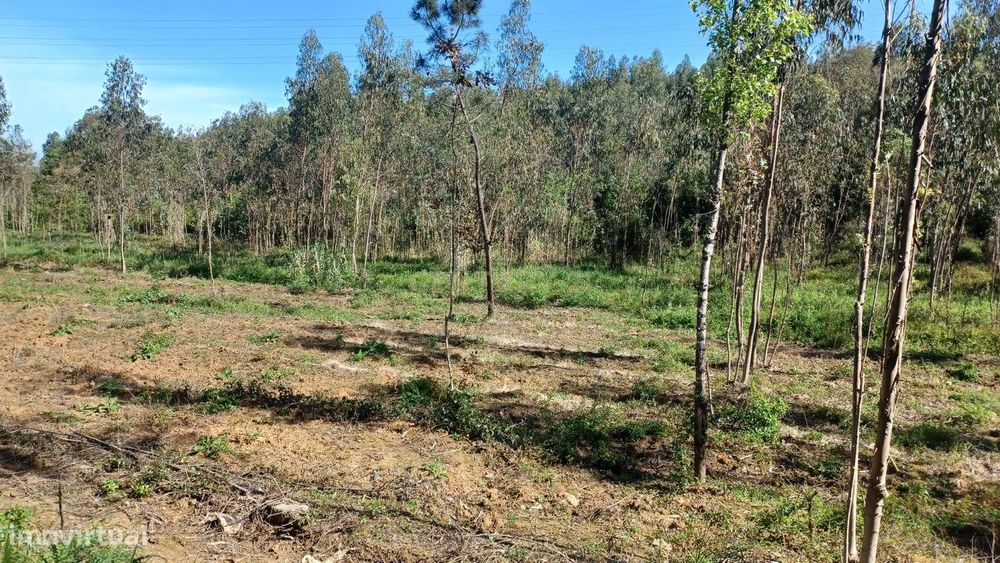 Terreno - Vila Nova da Barca - Venda