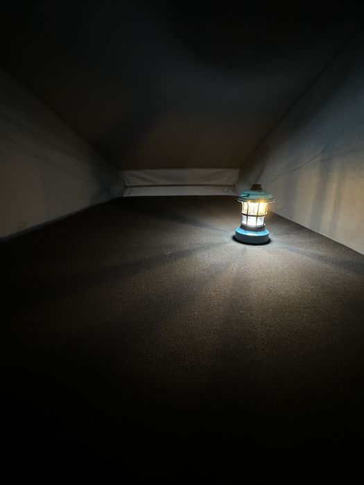 Volkswagen California T6