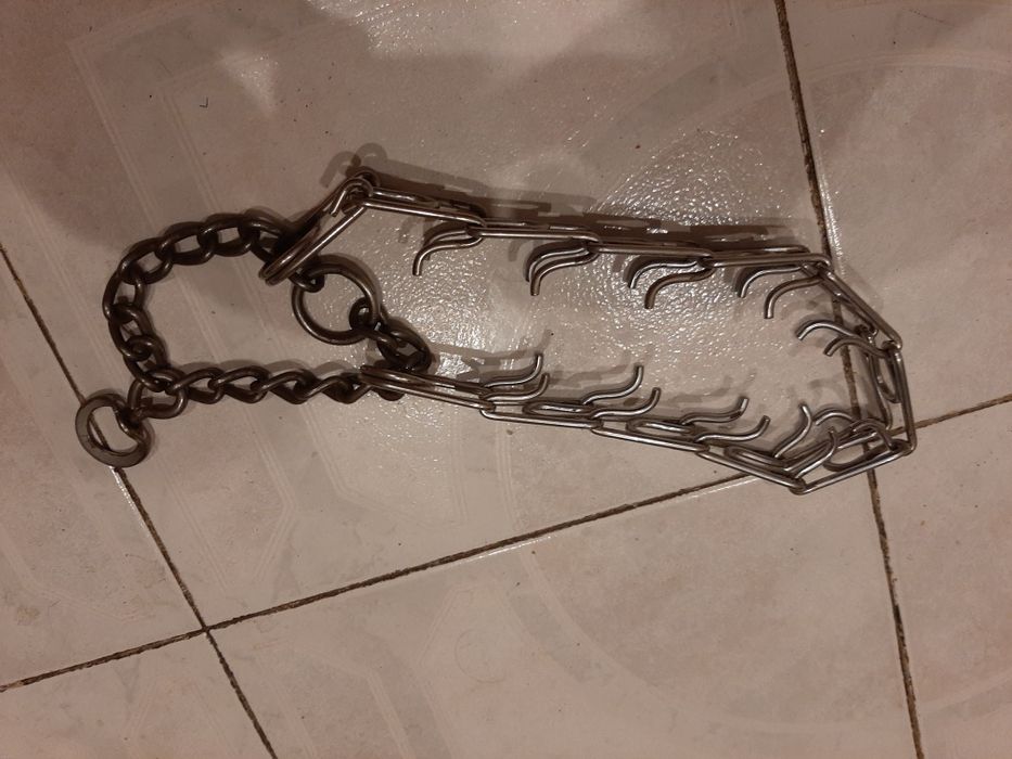 Ошейник строгий для собаки