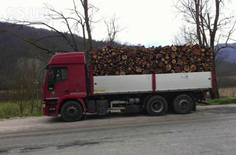 Дубові колоті дрова з доставкою сухостойні дубові дрова по області Дрова твердих порід київська область