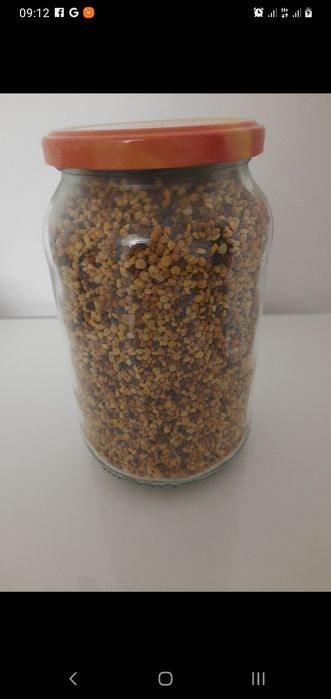 Pyłek Wielokwiatowy pszczeli