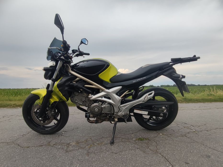 Suzuki sfv sv 650 Gladius
