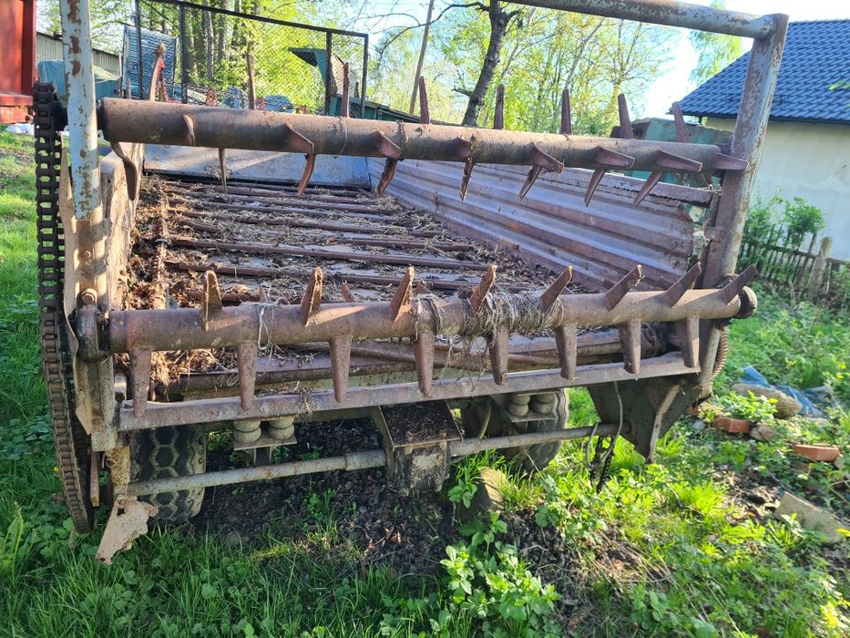 Rozrzutnik polski czarna białostocka części