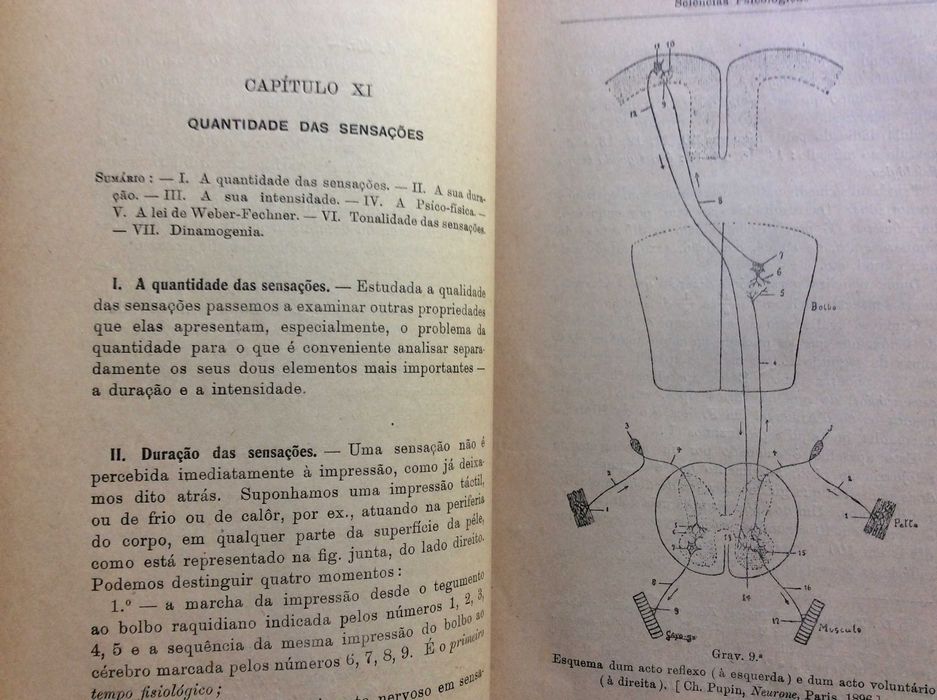 Filosofia elementar. Por Mendes dos Remédios,  1916. Raro