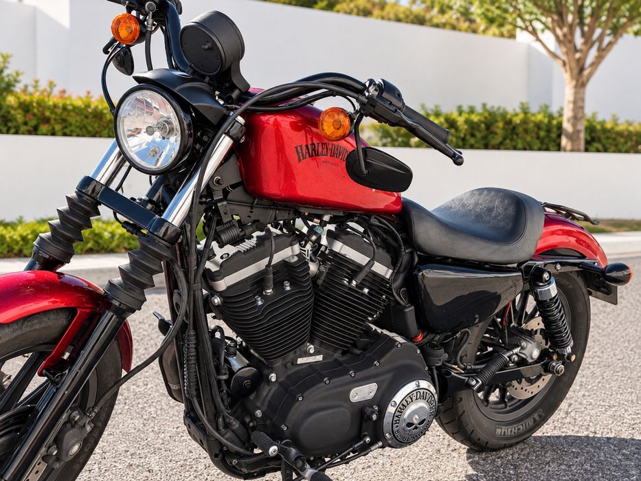 Harley Davidson - 883N Iron