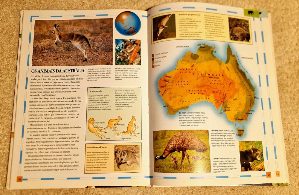 Atlas Juvenil dos animais - David Lambert,  Livro Juvenil, didático