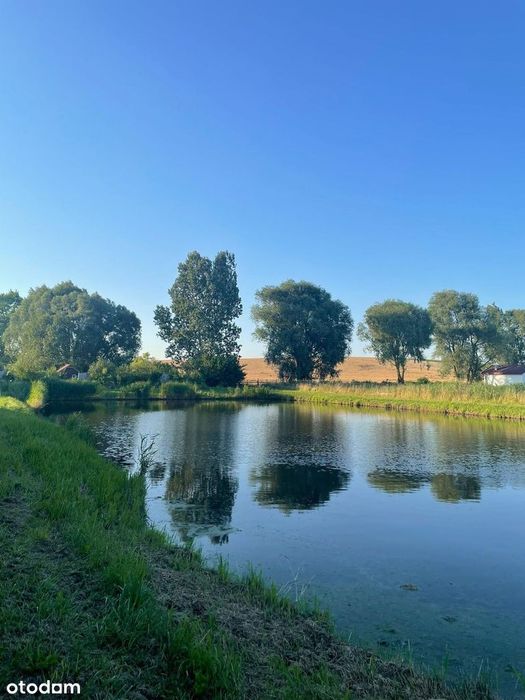 Działka, Sulnowo