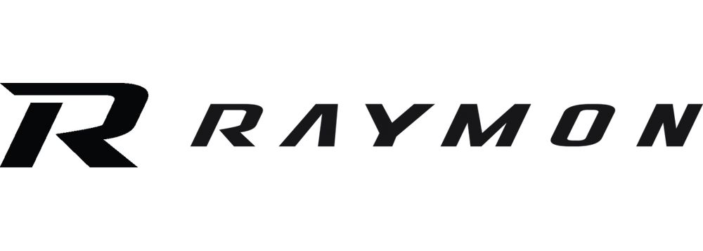Rower miejski elektryczny Raymon CityRay E 4.0 26" rama 45 cm
