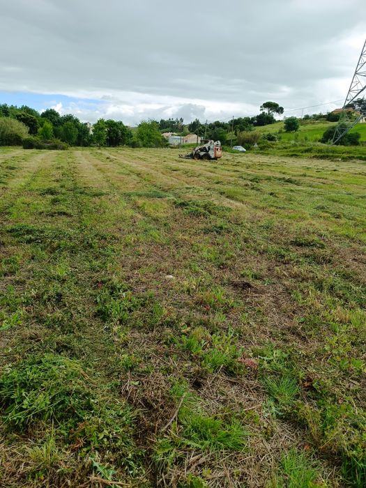 Serviço de Bobcat (destroçador florestal)