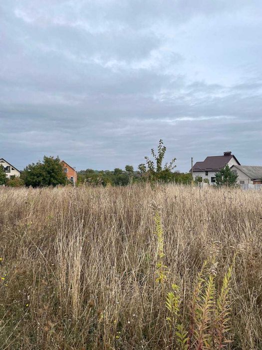 (5)   Продам зем. ділянку в с. Бохоники 9081