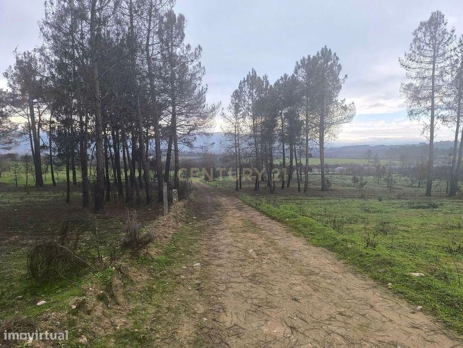 Terreno com vinha e poço - Perto da Zona Industrial de Chaves