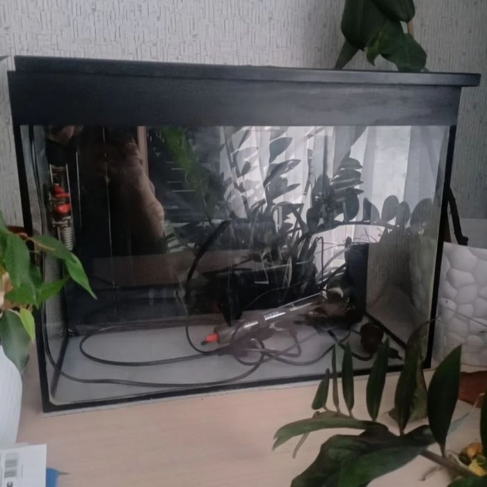 Аквариум на 50 литров с крышкой
