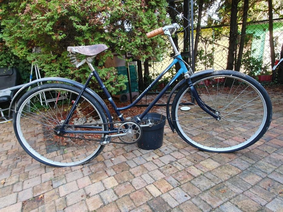 Rower damka niebieski