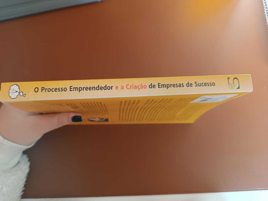 O processo Empreendedor e a Criação de Empresas de Sucesso