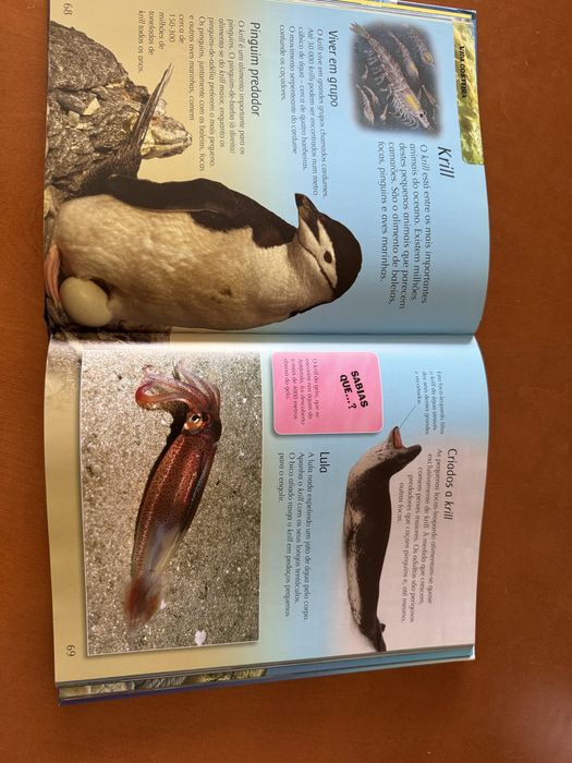 Livro Vida nos oceanos