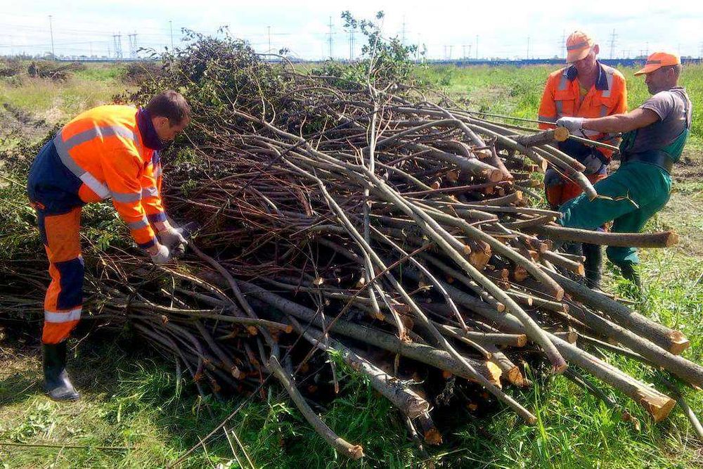 Подрібнювач Гілок - Измельчитель веток \ Оренда