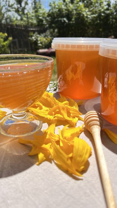 Мед гречаний і різнотрав'я