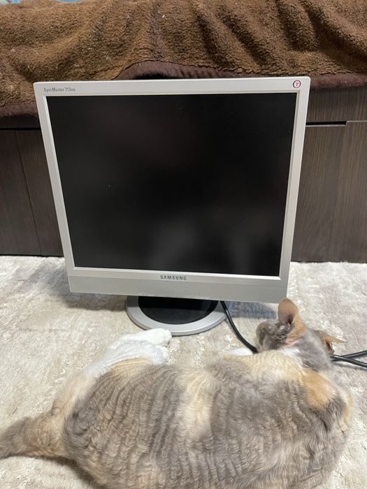 Монітор samsung 713bm 17” квадрат