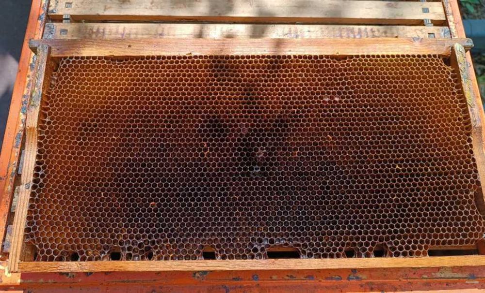Рамки Дадант суш 300