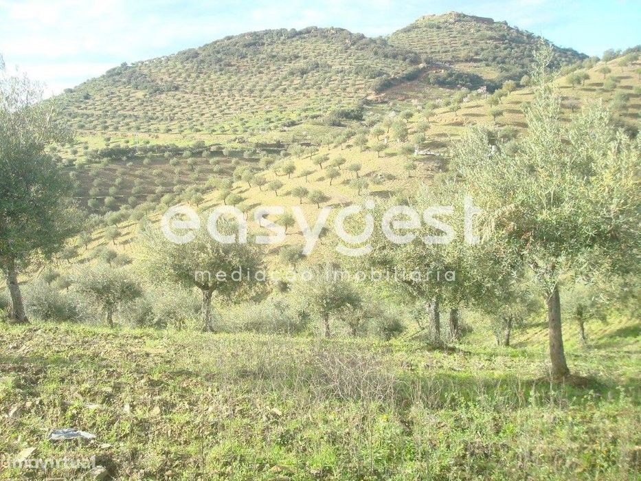 Terreno agrícola em Vila Nova De Foz Côa