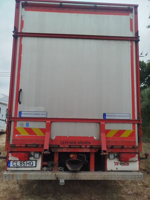 Transporte de animais vivos