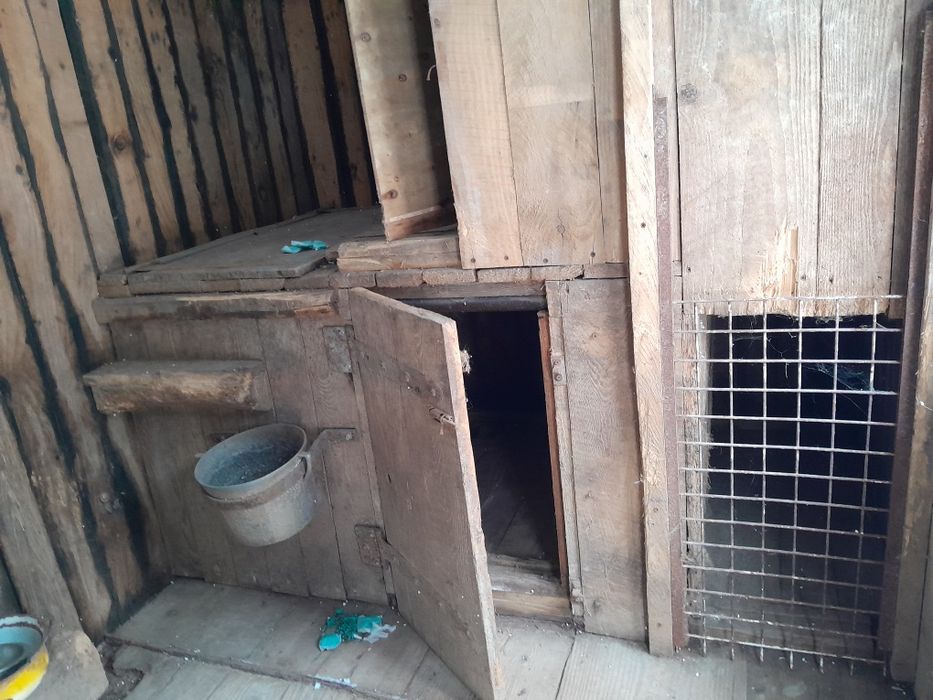 Вольєр для собак