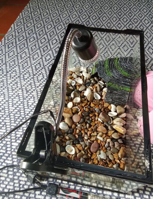 Aquário para animais