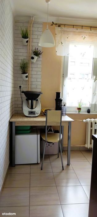 Zdjęcie 6