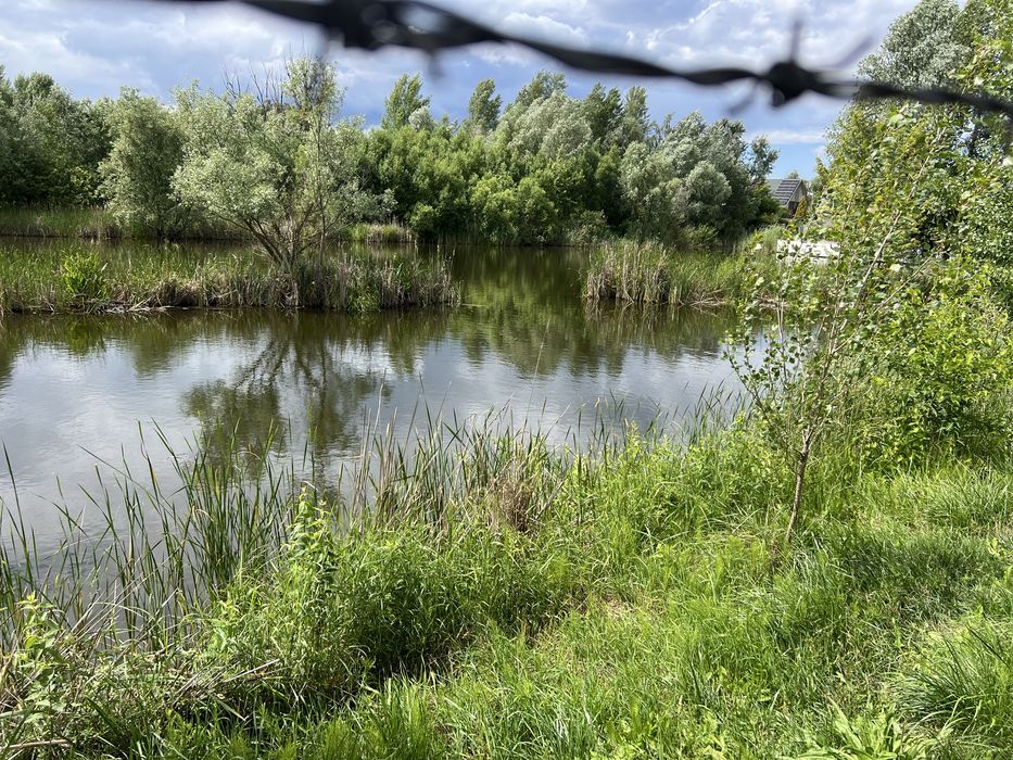 Здам кімнату ,Голосійвський р-н ,Віта Литовська