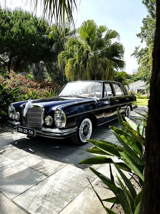1970 Mercedes W108 280SE - O carro ideal para o seu evento