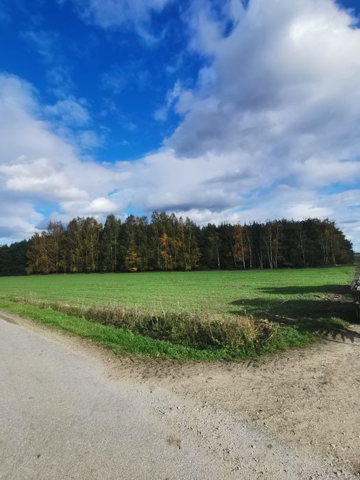 Działka budowlana 348/5 Bryszki gm. Rozprza warunki zabud. wo