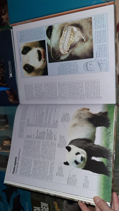 Coleção Vida Selvagem