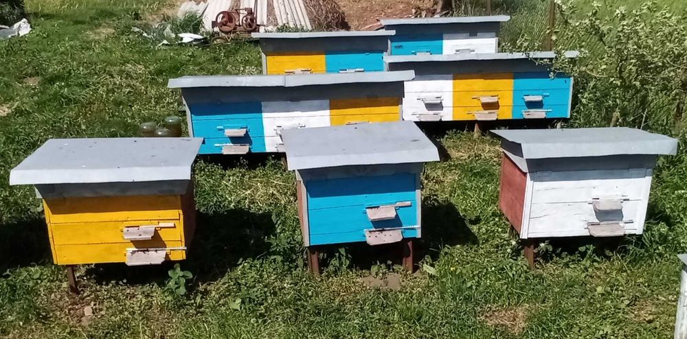 Продам частину пасіки, вулики лежаки, бджоли помісь карпатки.