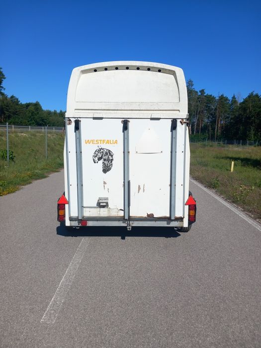Przyczepa do przewozu koni bukmanka Westfalia