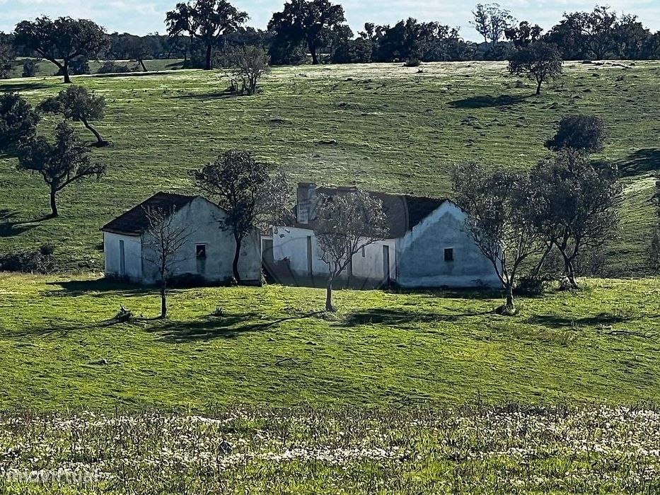 Quinta  para venda