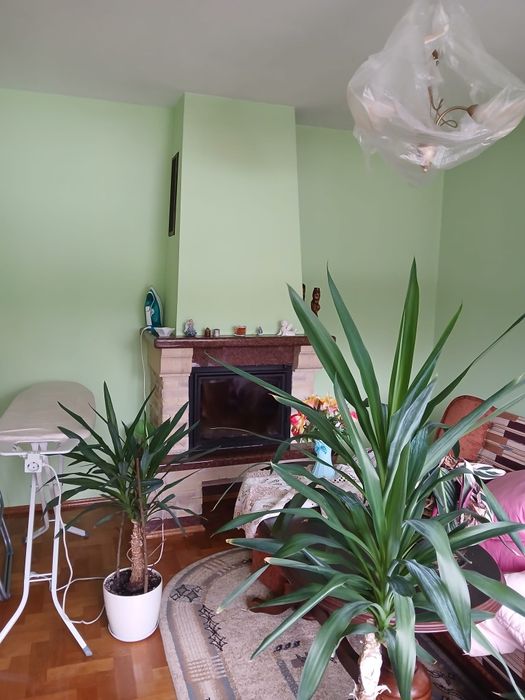 Dom na sprzedaż 130 m2