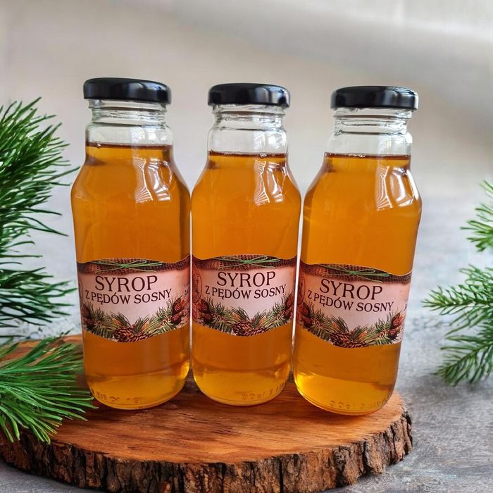 Domowy syrop z pędów sosny