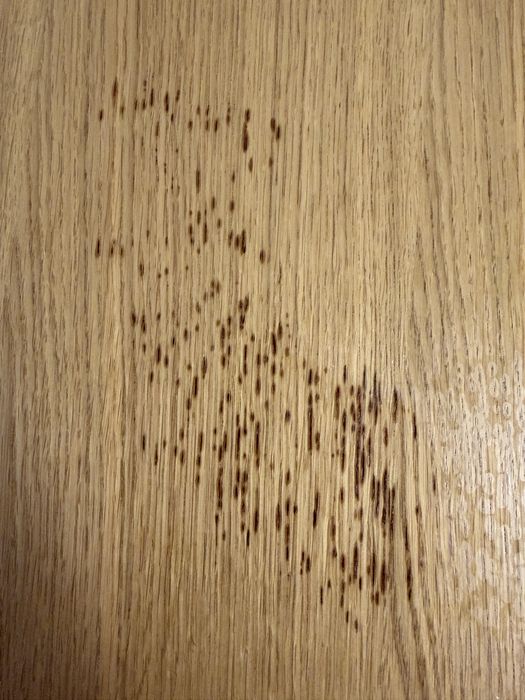 Amaranto Stół rozkładany dąb