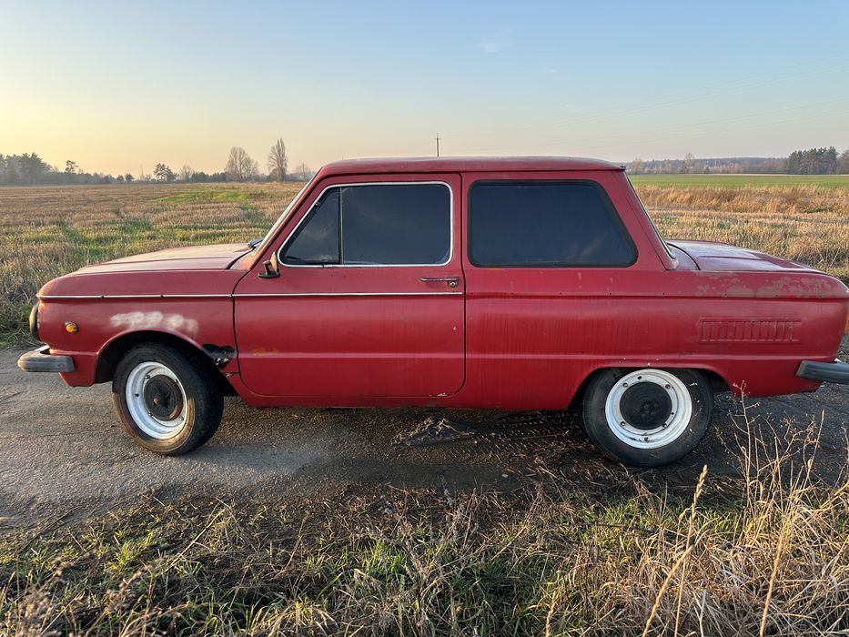 Продам зазіка легенду