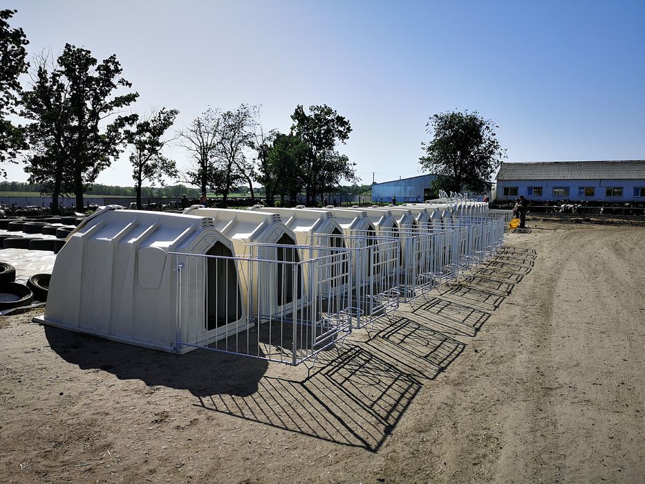 Виготовлення кліток для телят під домік