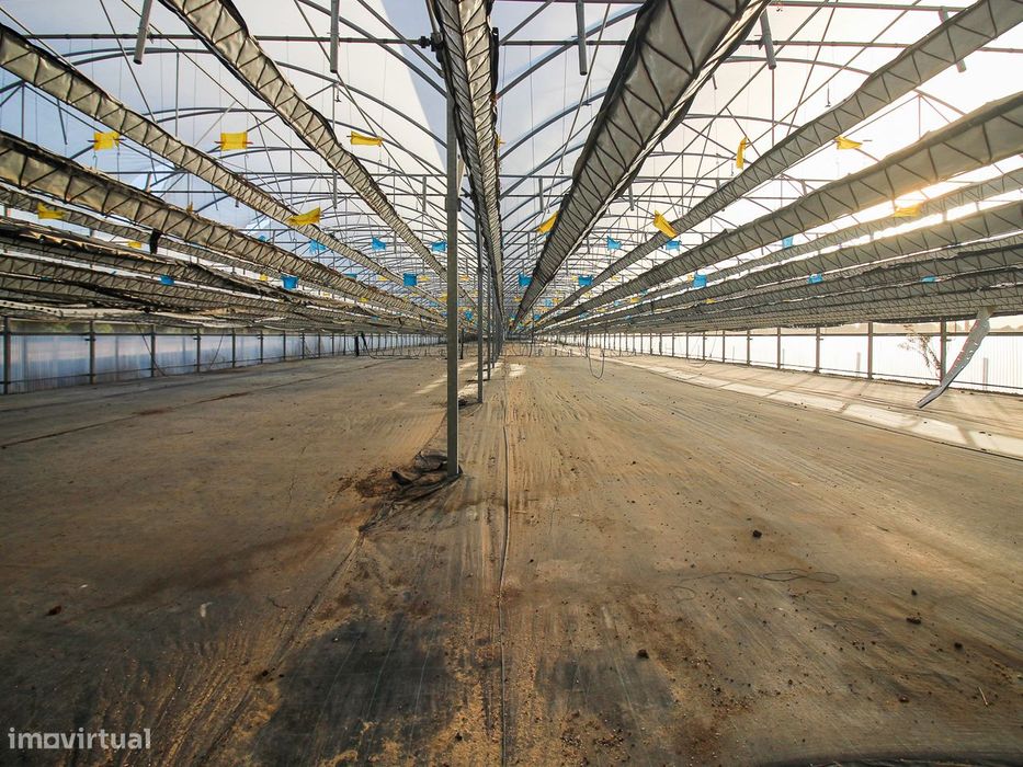 Estufa de produção para Horticultura e Floricultura