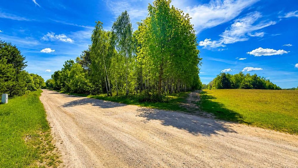 Prywatna przestrzeń z potencjałem 4,47ha- warunki zabudowy na 0,5 ha - Widok 2