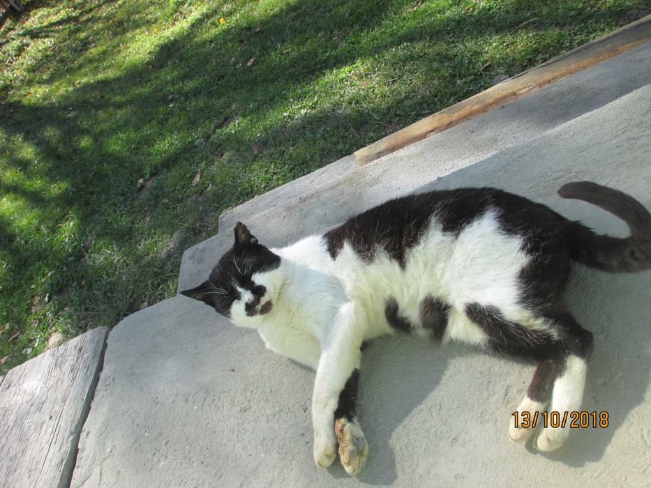 Житло для жінки пенсійного віку